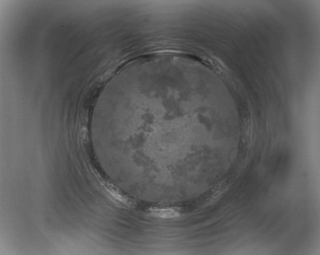 X0000082170553200701191310