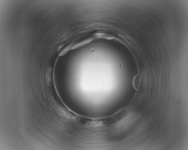 X0000082170554200701191310