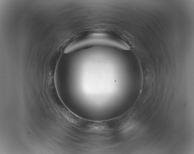 X0000082170555200701191310