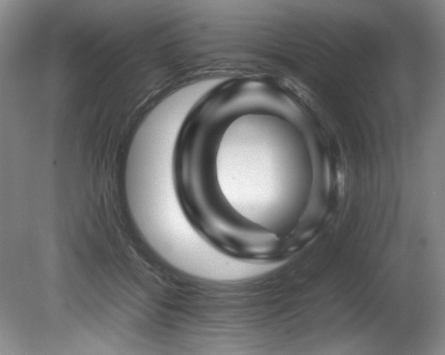 X0000082170556200701191310