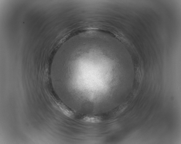 X0000082170557200701191310