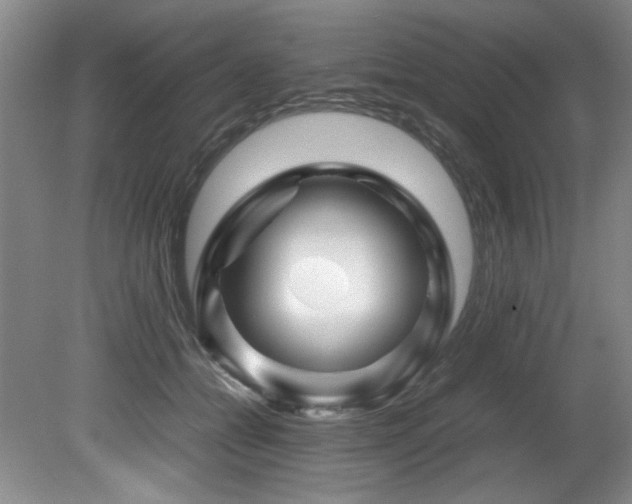 X0000082170558200701191310