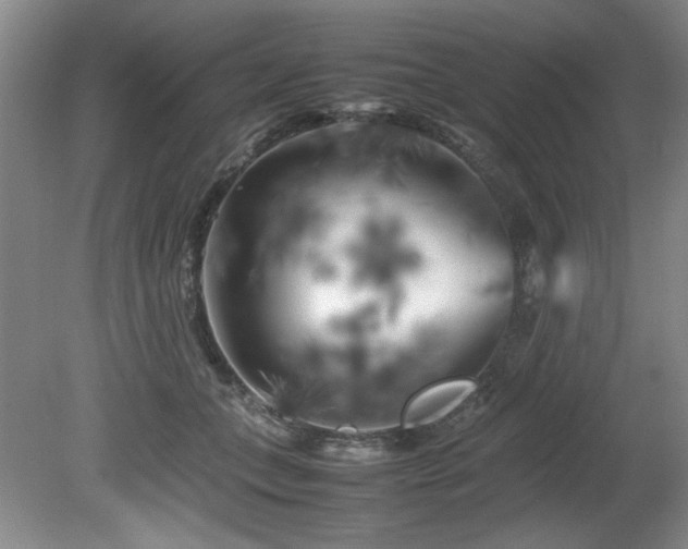 X0000082170559200701191310