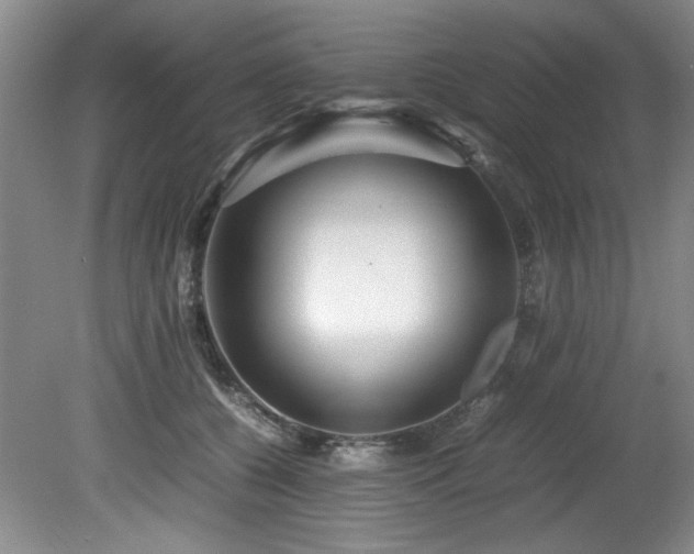 X0000082170560200701191310