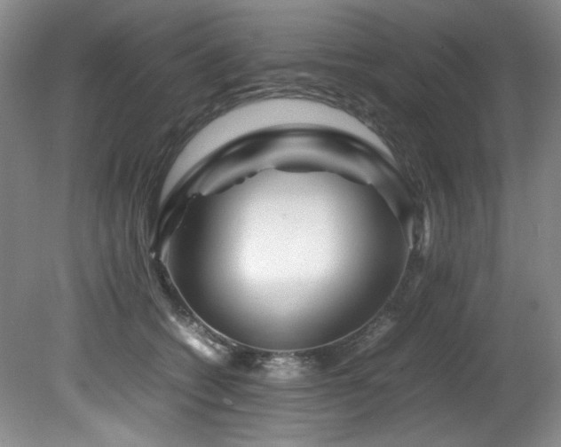 X0000082170562200701191310