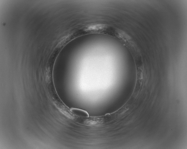 X0000082170563200701191310