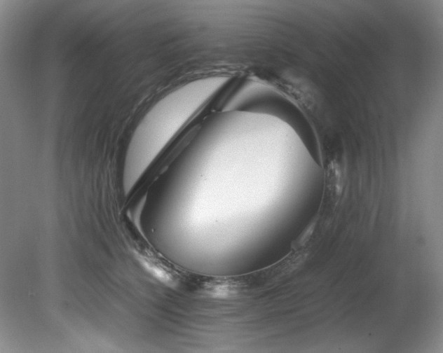 X0000082170564200701191310