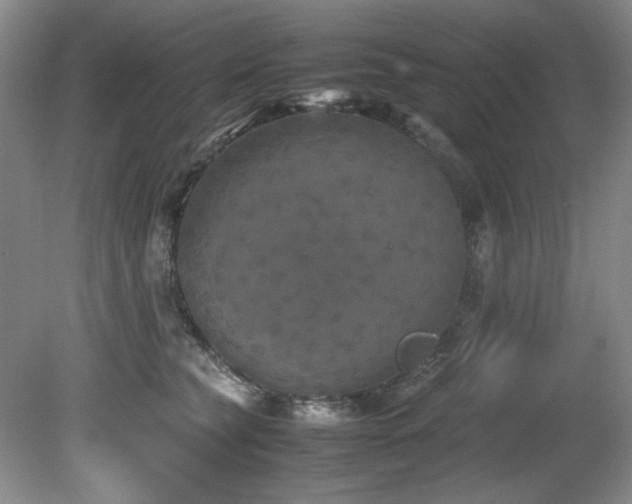 X0000082170565200701191310