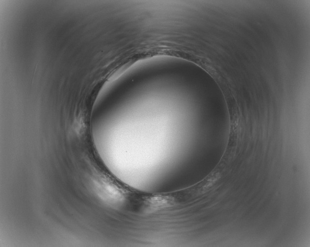 X0000082170566200701191310