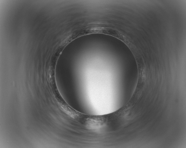 X0000082170567200701191310