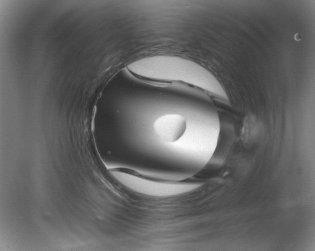 X0000082170568200701191310