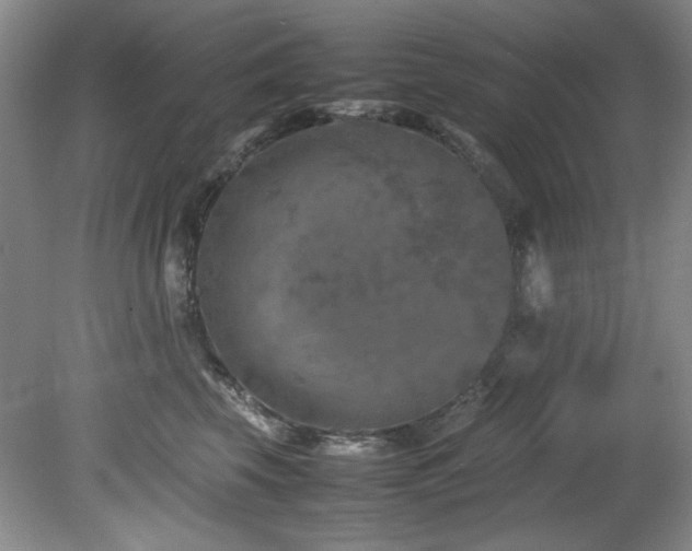 X0000082170569200701191310