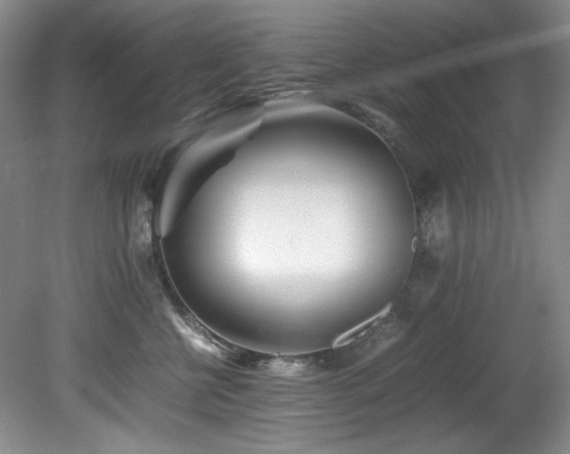 X0000082170570200701191310