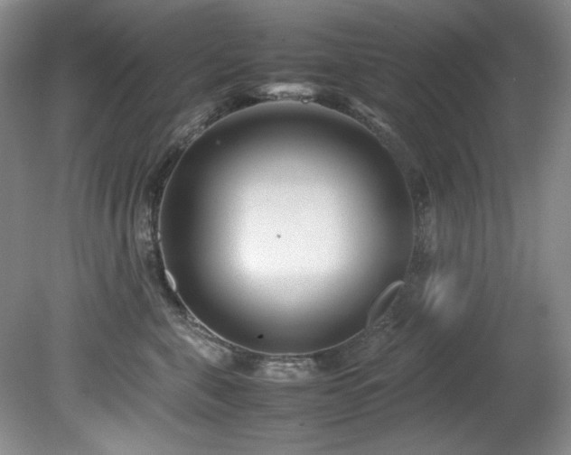 X0000082170571200701191310