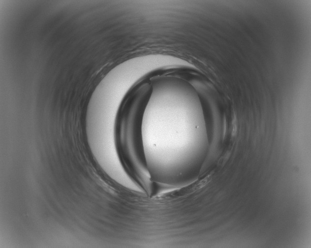 X0000082170572200701191310