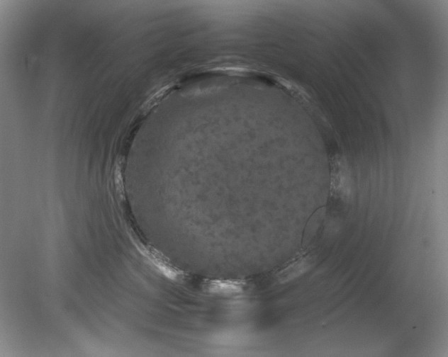 X0000082170573200701191310