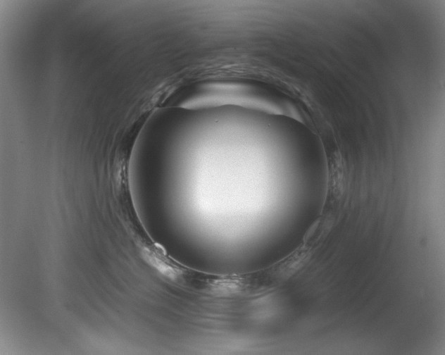 X0000082170574200701191310