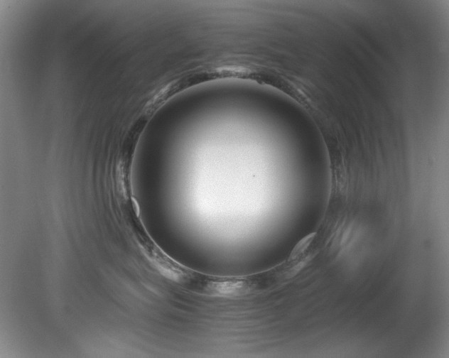 X0000082170575200701191310