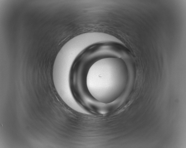 X0000082170576200701191310