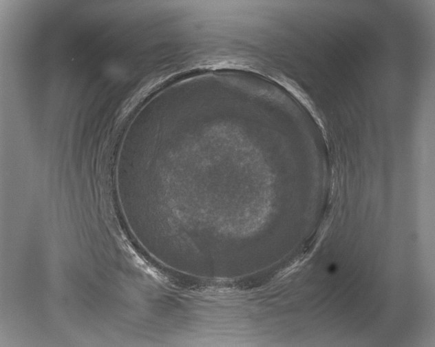 X0000082170577200701191310