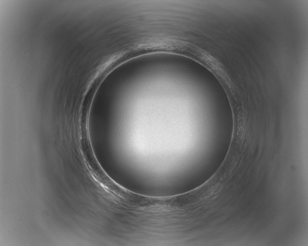 X0000082170578200701191310