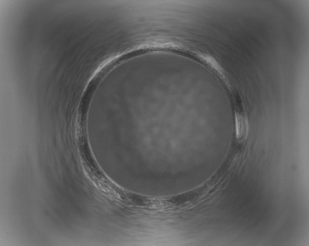 X0000082170579200701191310