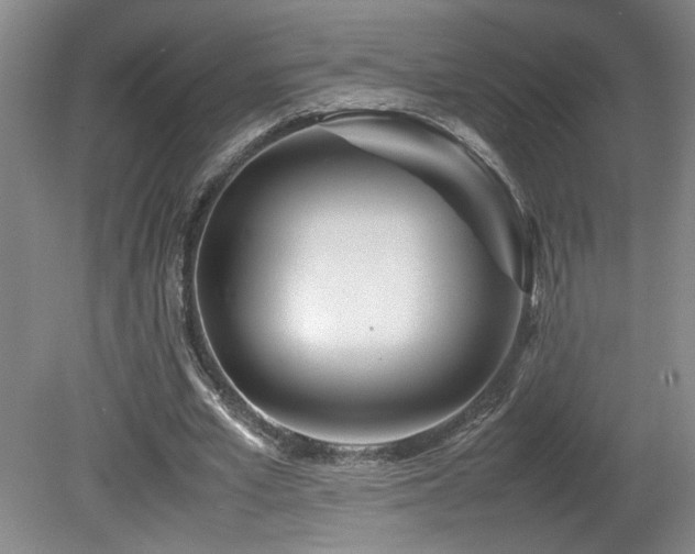 X0000082170581200701191310