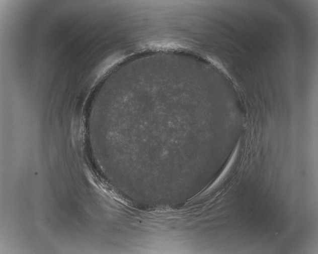 X0000082170583200701191310