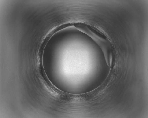 X0000082170584200701191310