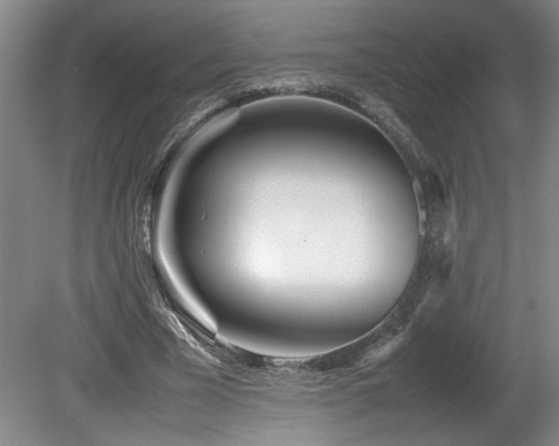 X0000082170585200701191310