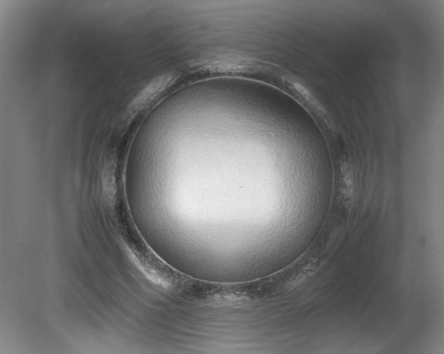 X0000082170586200701191309