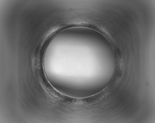 X0000082170587200701191309