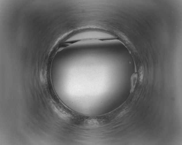 X0000082170588200701191309