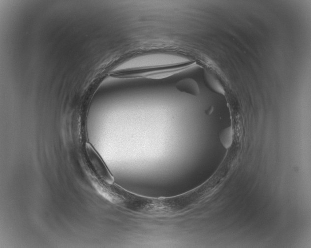 X0000082170589200701191309