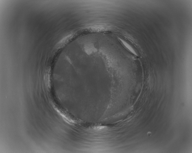 X0000082170590200701191309