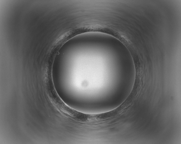 X0000082170591200701191309