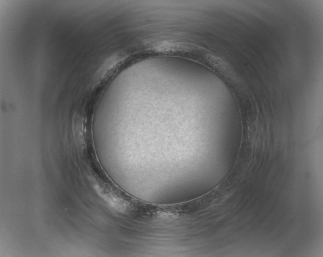 X0000082170592200701191309