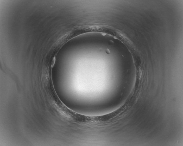 X0000082170593200701191309