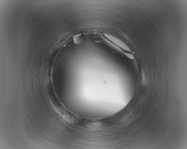 X0000082170594200701191309