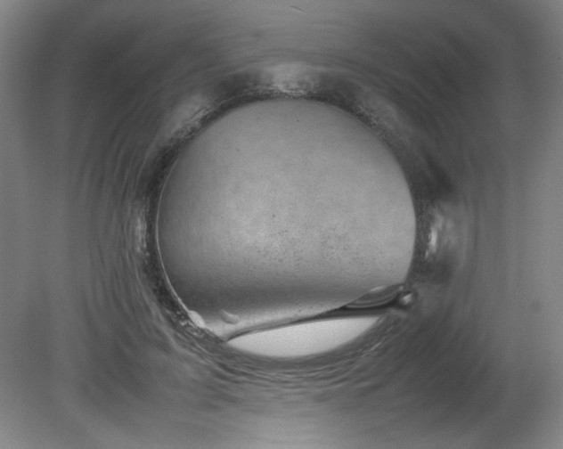 X0000082170595200701191309