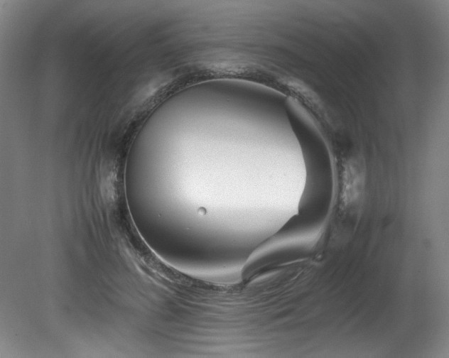 X0000082170596200701191309