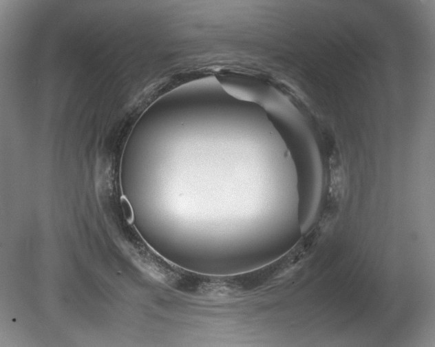 X0000082170597200701191309