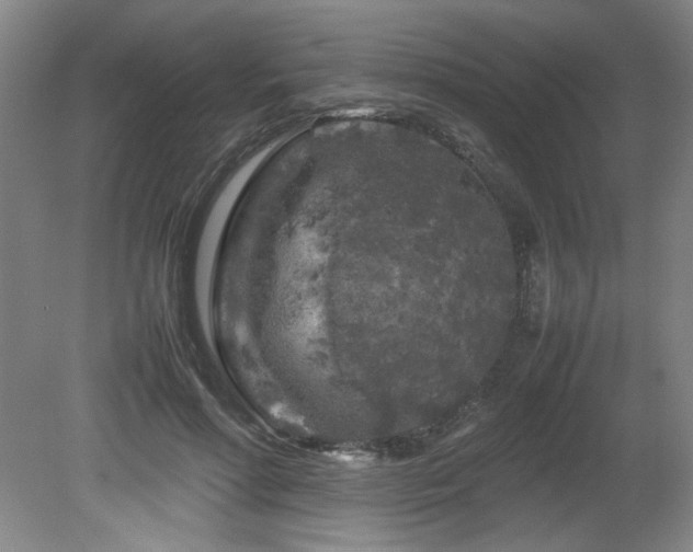 X0000082170598200701191309