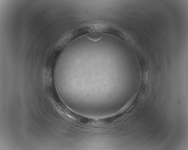 X0000082170599200701191309