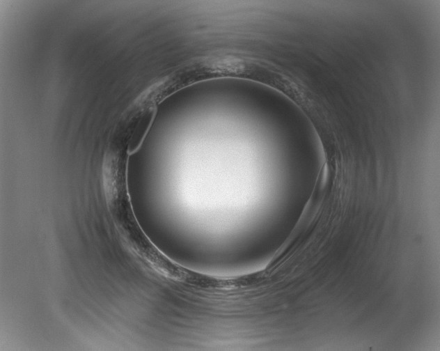 X0000082170600200701191309