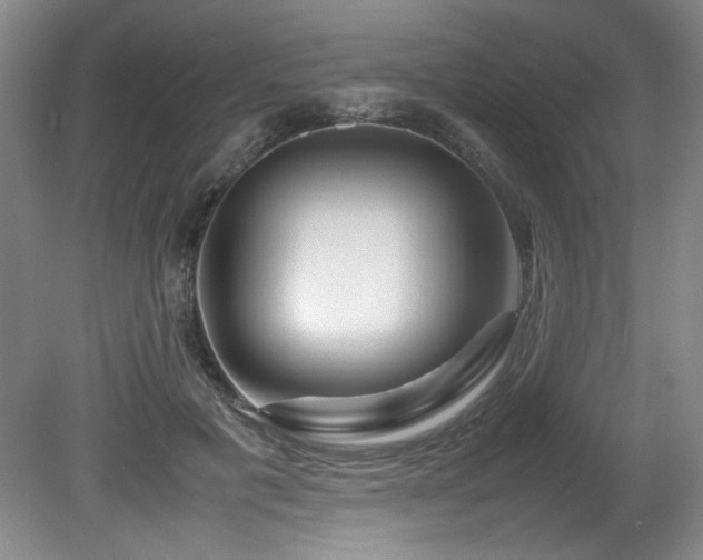 X0000082170601200701191309