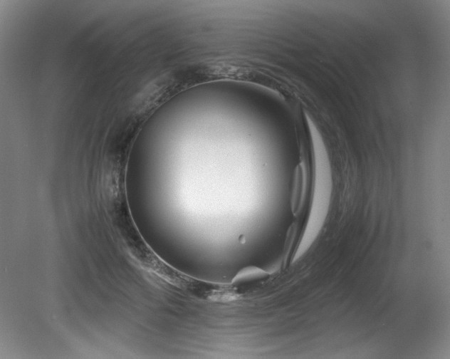 X0000082170602200701191309