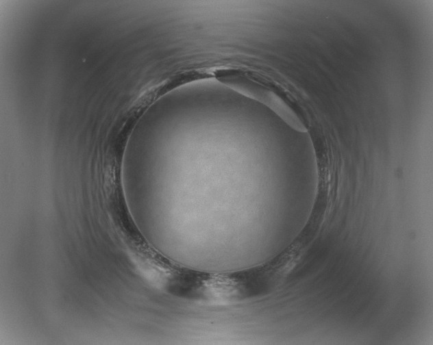 X0000082170603200701191309