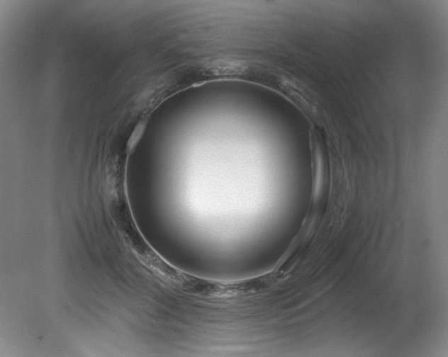 X0000082170604200701191309