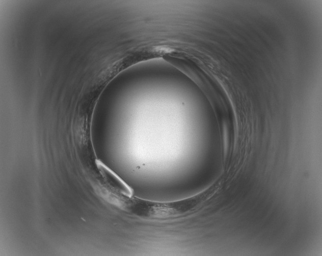 X0000082170605200701191309